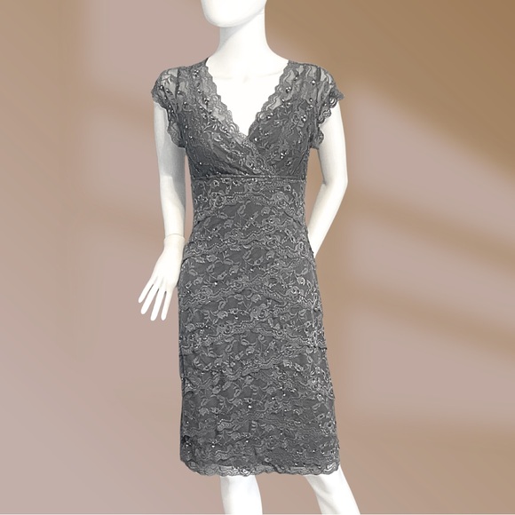 Blu Sage Dresses & Skirts - Blu Sage Women's Dress Gray Lace Bead & Sequin Embellished Formal Party Sz 8